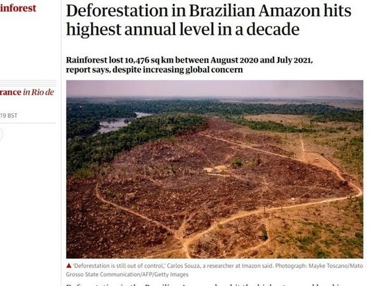 Вырубка лесов в бразильской Амазонии достигла самого высокого уровня за десятилетие