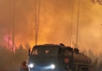 При тушении пожаров на территории Мордовского заповедника на границе с Нижегородской областью сотрудники МЧС и военнослужащие оказались в огненном плену посреди леса