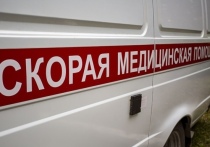 За сутки в Новосибирской области зарегистрированы еще 183 случая коронавируса. Об этом сообщает местный оперштаб.

