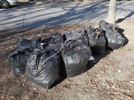 Летние итоги: костромские подростки освободили город от 120 кубометров мусора