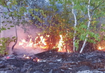 В лесах Марий Эл с начала пожароопасного сезона произошло 90 пожаров