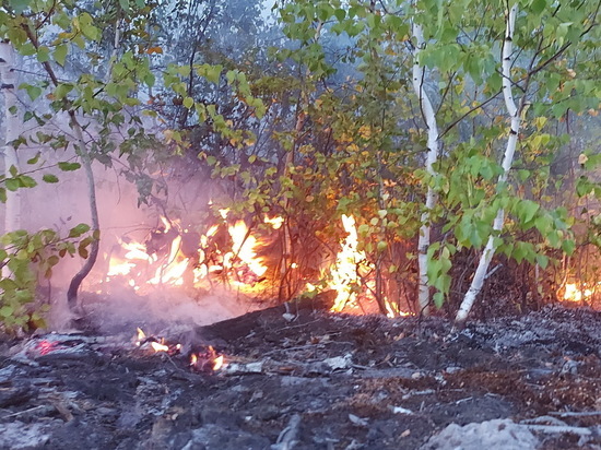 В лесах Марий Эл с начала пожароопасного сезона произошло 90 пожаров