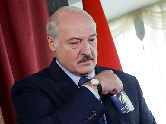Лукашенко объяснил, зачем выращивает арбузы на своем участке