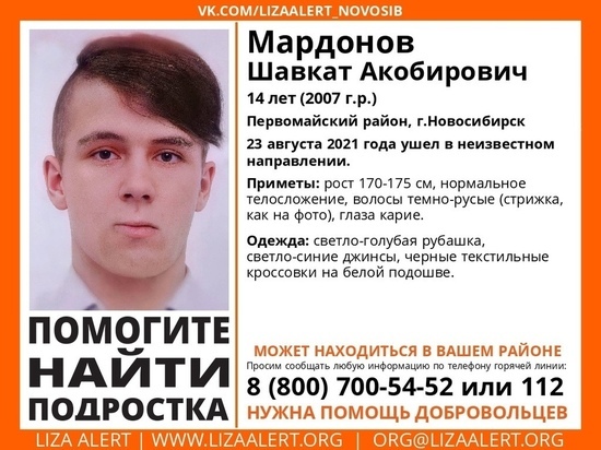 14-летний подросток пропал по пути в парикмахерскую в Новосибирске