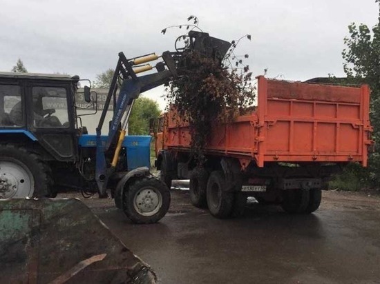 В Октябрьском районе убрали несанкционированную свалку