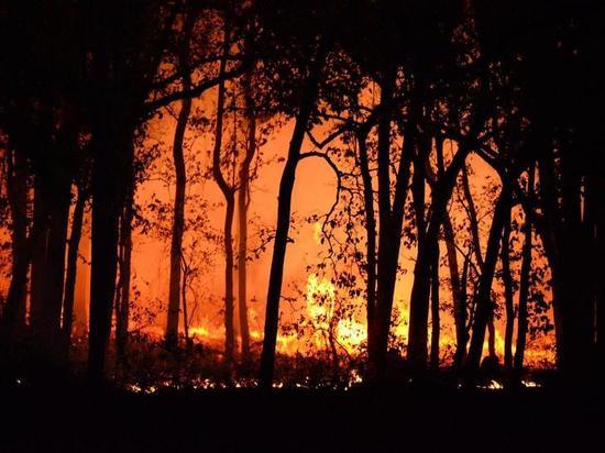 При тушении природного пожара в Башкирии пострадал доброволец
