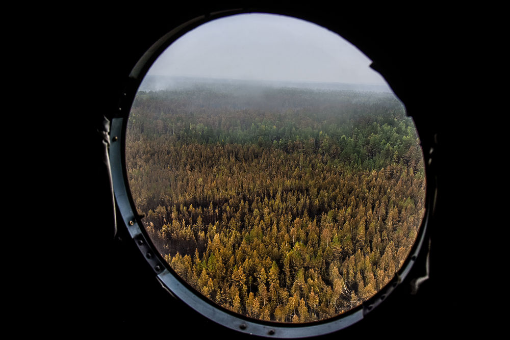 Лесной пожар с высоты: как выглядит больная точка Марий Эл с борта вертолета