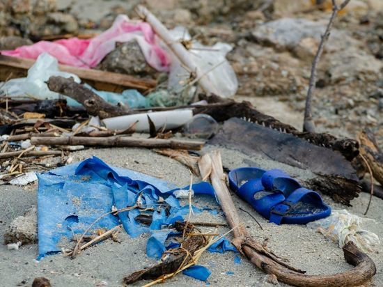 Огромную свалку отходов нашли под Колпино