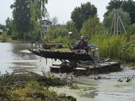 Идёт активная расчистка пруда в деревне под Серпуховом