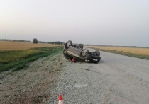 Водитель Chevrolet Niva погиб в аварии в Коченевском районе Новосибирской области