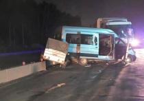 СК займется расследованием ДТП, которое произошло ночью 26 августа на Гусинобродском шоссе в Новосибирске