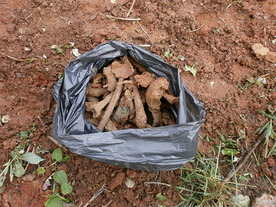 В Кировской области в котловане обнаружили останки 30 человек