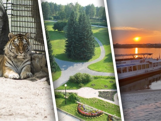 Куда сходить в Новосибирске: топ-5 мест, где можно весело провести последние выходные лета