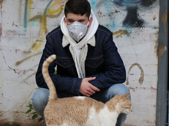 234 человека вылечились от коронавируса за прошлые сутки в Смоленской области