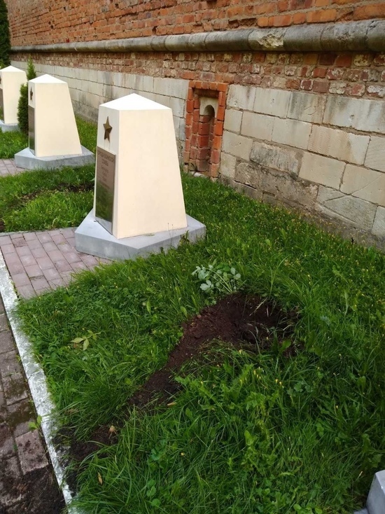 Полицейские поймали вора, укравшего туи из сквера Памяти Героев в Смоленске