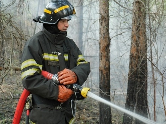 Свердловская область вышла в лидеры по количеству лесных пожаров, обогнав Якутию