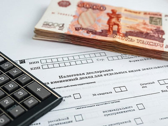 В Красноярске бизнесмен задолжал налоговой 45 миллионов рублей