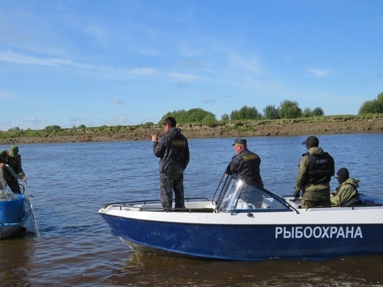 В Югре выявляют незаконных рыбаков