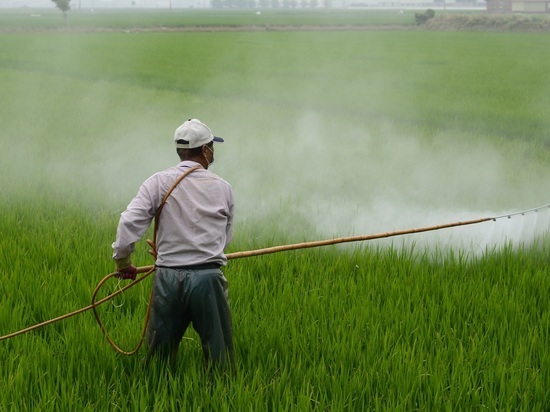 В деле об опасном пестициде поставлена точка
