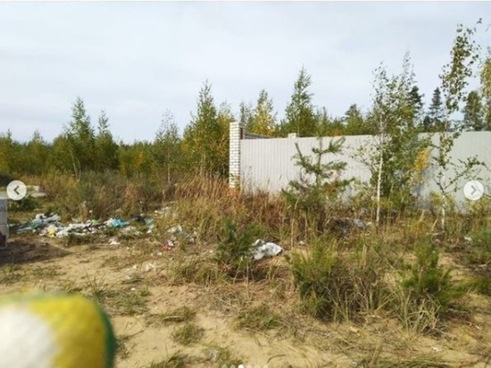 Из мест лесного пожара в Марий Эл вывезли четыре куба мусора