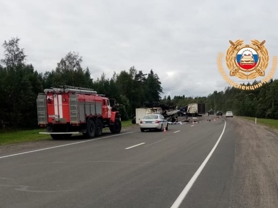 Грузовики столкнулись в Карелии: погибли оба водителя