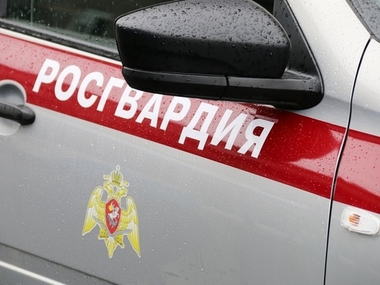 Под Брянском росгвардейцы задержали дебошира