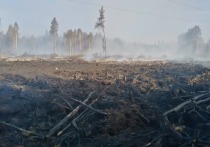 Открытое горение в лесах Марий Эл ликвидировано