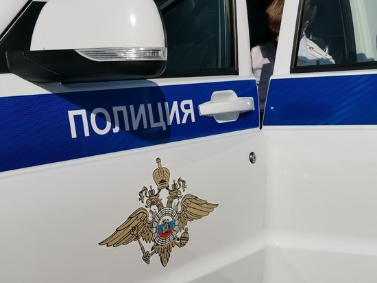 В Ефремове полицейские установили похитителей автомобилей