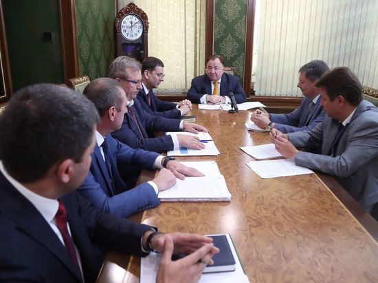 Калиматов и Левченко обсудили развитие электросетевого комплекса Ингушетии