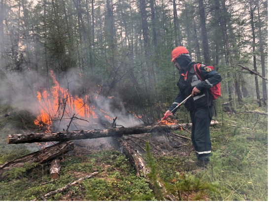  В Якутии за сутки ликвидировали 10 природных пожаров