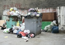 Регоператор по обращению с твердыми коммунальными отходами «Олерон+» не организовал своевременную уборку мусора с семи улиц Забайкальска