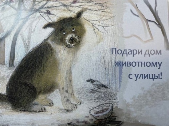 В Иванове выпустили открытки, которые помогут спасению животных