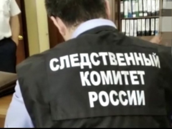 В Красноярске за взятку задержан глава ветнадзора