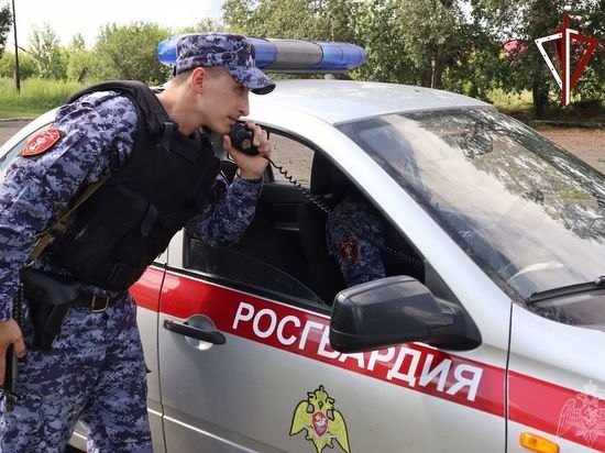 В Шушенском Красноярского края росгвардейцы задержали угонщика «Жигулей»