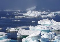 Ученые из Копенгагенского университета заявили, что случайно обнаружили самый северный остров в мире у побережья Гренландии