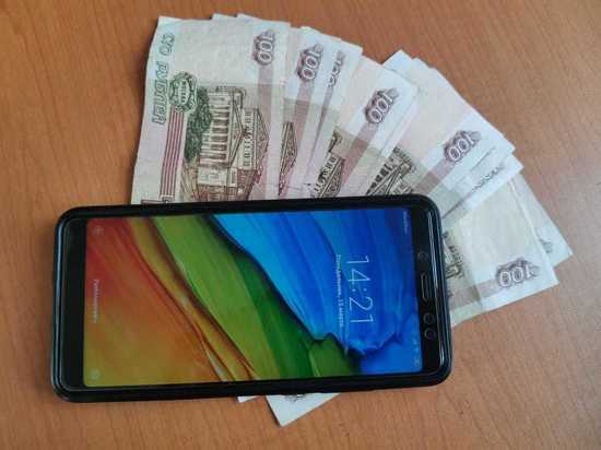 Больше жителей Хабаровского края переходят на «Госуслуги»