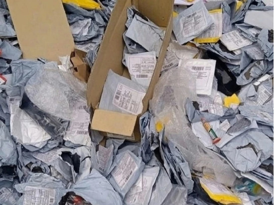 Найденные на мусорке посылки могли быть ввезены в обход таможенного управления