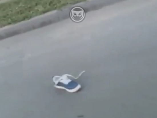 В центре Пензы под колесами машины погиб человек