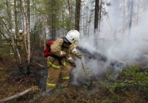 В Хабаровском крае ликвидировали три природных пожара