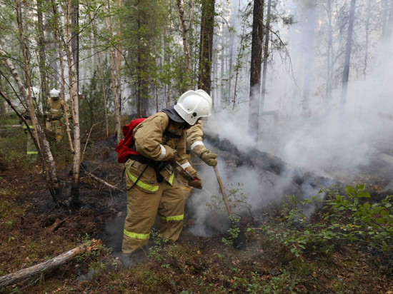 В Хабаровском крае ликвидировали три природных пожара
