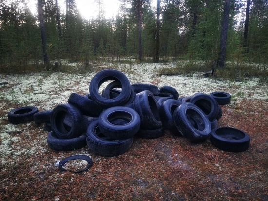 Неизвестные завалили старыми покрышками лес в Ноябрьске