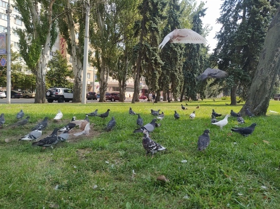 В Донецке 30 августа объявлен желтый уровень погодной опасности