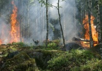 В Кузбассе зафиксировали высокий уровень пожароопасности