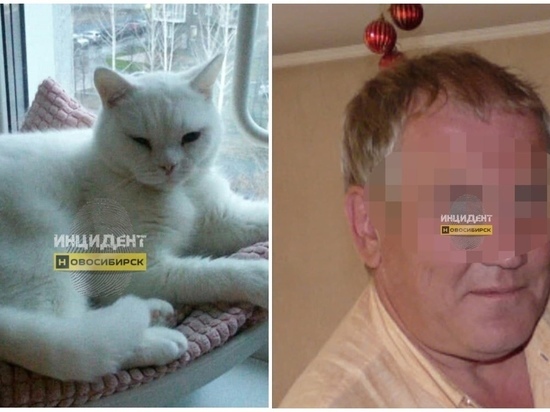 Мужчина застрелил соседского кота из ружья на даче под Новосибирском