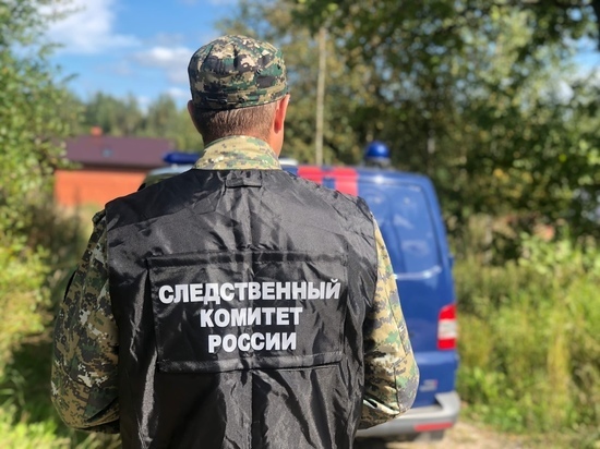 Юного новгородца насмерть задавило бревном