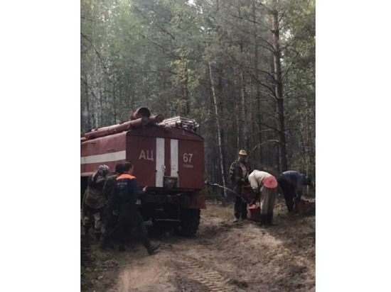 На тушении лесного пожара в Марий Эл работают 227 человек