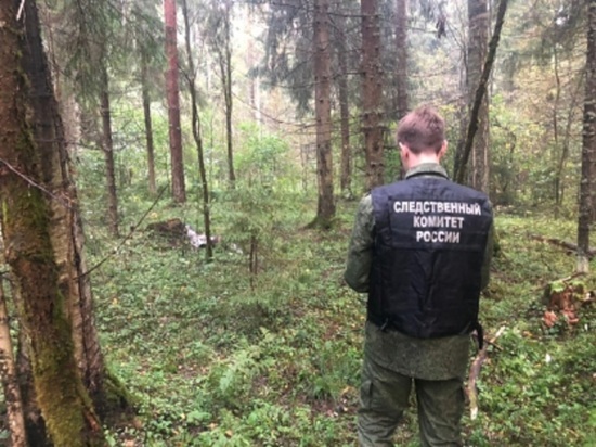 В Ярославской области найден труп грибника.