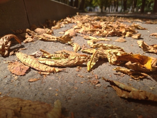 Жителям ДНР пообещали похолодание в первых числах сентября