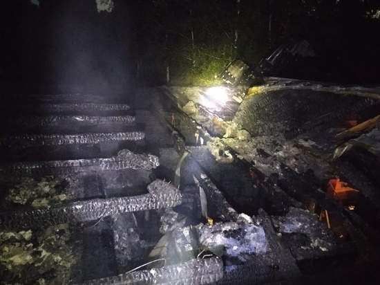 Спасатели ликвидировали крупный пожар в микрорайоне Пашино в Новосибирске