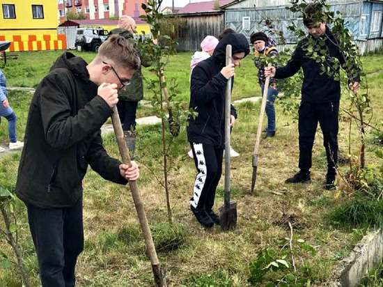 В сентябре 10 тысяч деревьев высадят в муниципалитетах Ямала